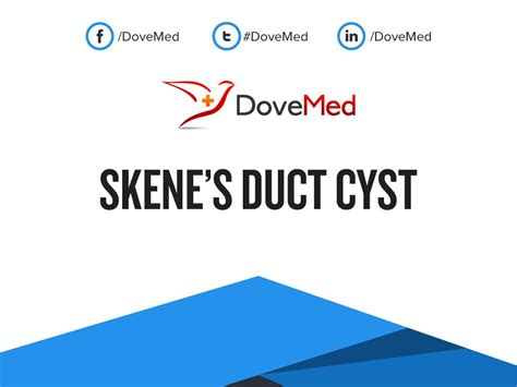 inflammation glande de skene|Skenes Gland: What Theyre For, Cyst Symptoms & Treatment